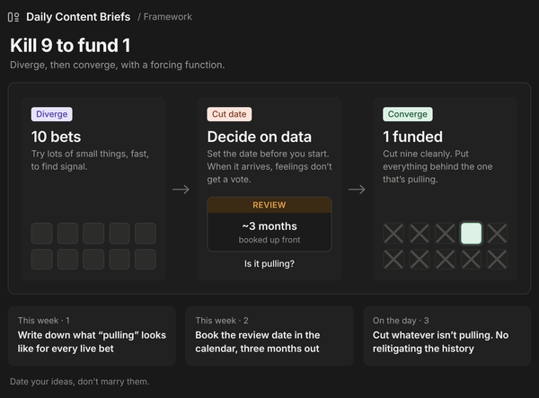 Kill 9 to fund 1 framework: 10 bets, a review date about three months out, then 1 funded with nine cut